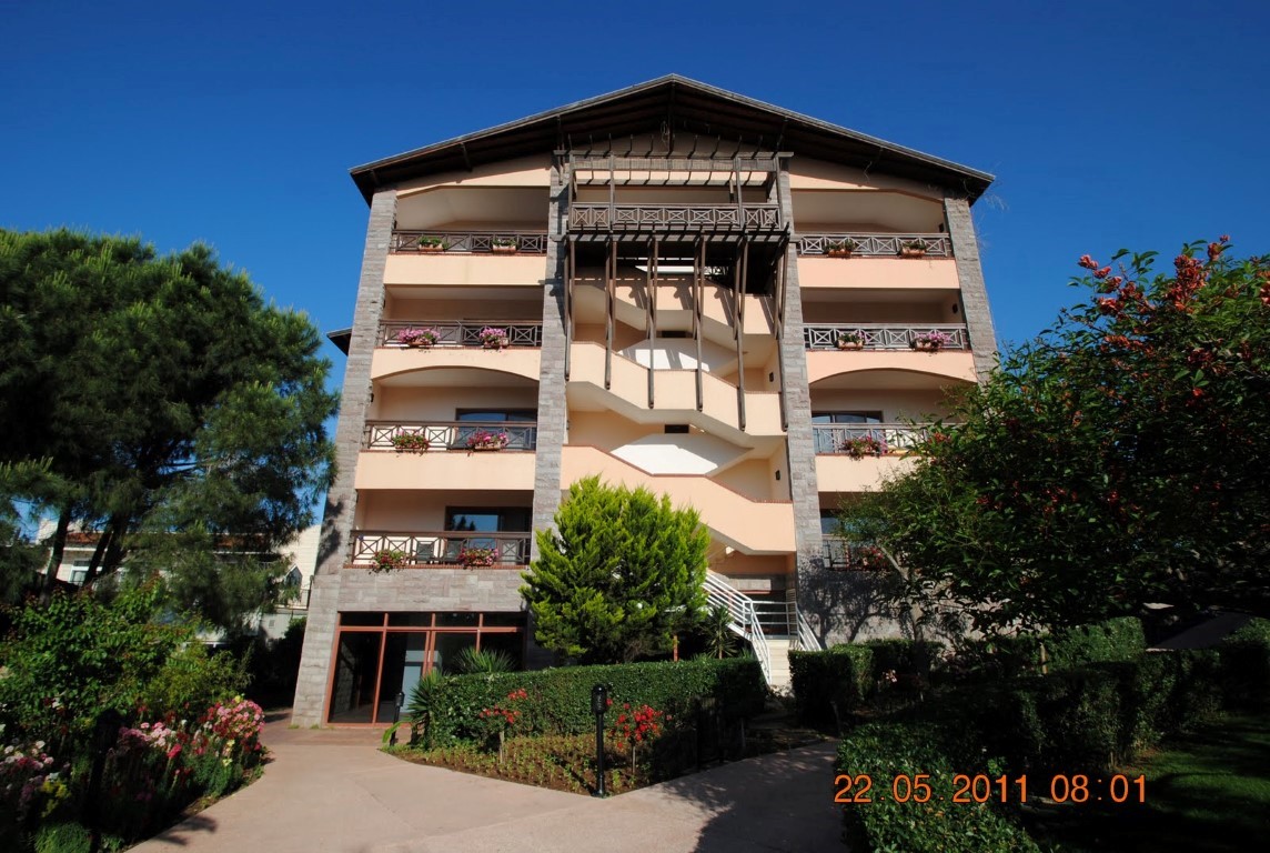 Imagine PAPILLON BELVIL BELEK